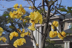 I can't even remember how I did this. I do know this: It was before anyone could do it in one click.